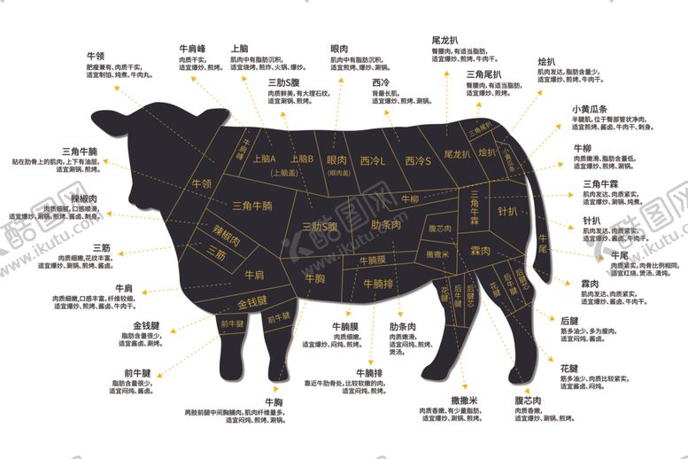 编号：95049701170143176447【酷图网】源文件下载-高清牛分解图