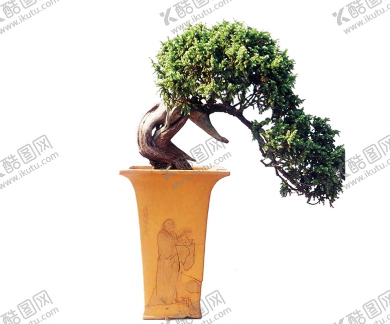 编号：25628509141626255106【酷图网】源文件下载-绿色植物