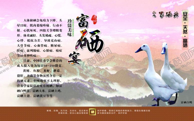 编号：96795810250025219257【酷图网】源文件下载-连城白鸭
