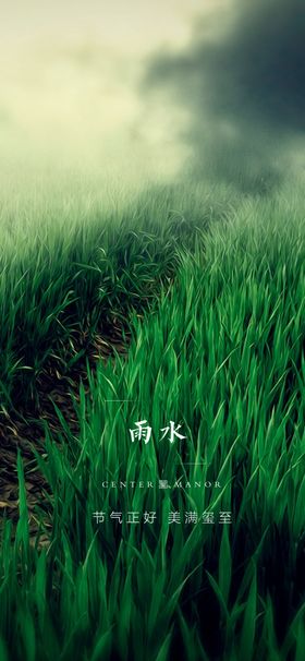 雨水二十四节气朋友圈节气海报
