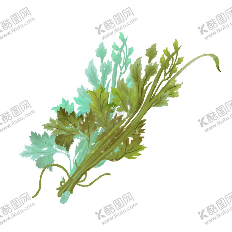 编号：70967610260235434737【酷图网】源文件下载-茱萸插画素材