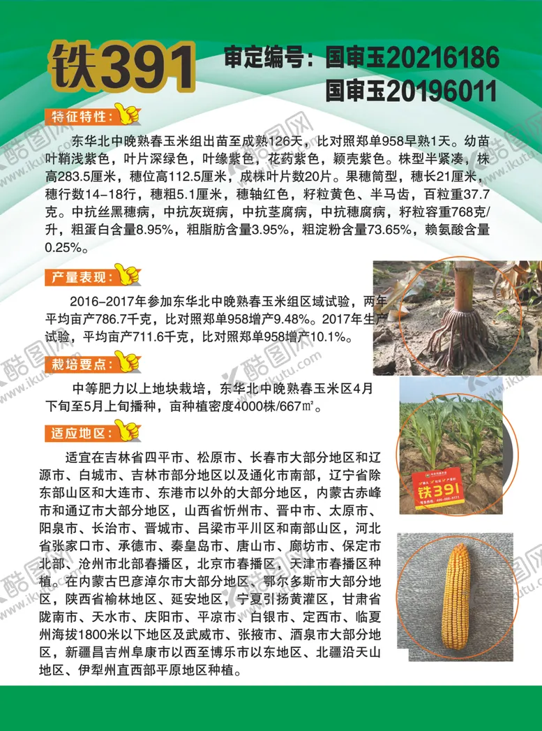 编号：53567801131132078018【酷图网】源文件下载-玉米大画