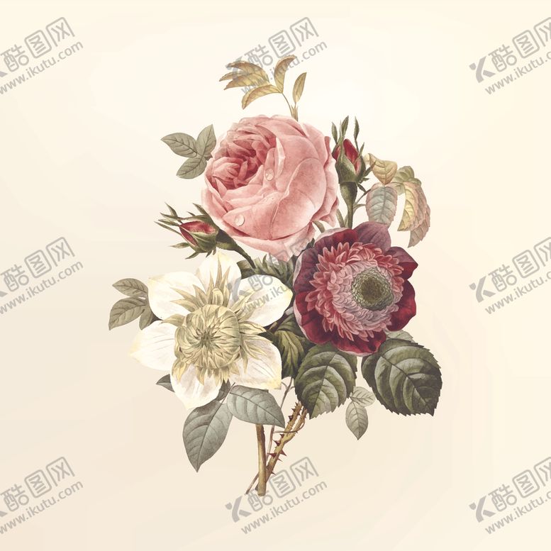 编号：96296410281040402385【酷图网】源文件下载-花卉