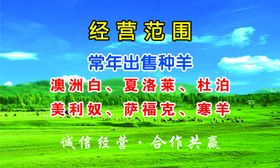 收羊反面名片