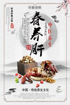 中国风中医文化四季养生展板