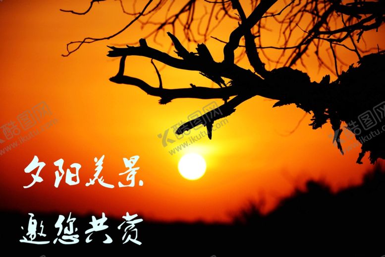 编号：11568206191043143587【酷图网】源文件下载-夕阳美景老树
