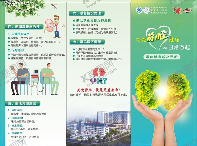 编号：69596004081324414036【酷图网】源文件下载-肾病三折页