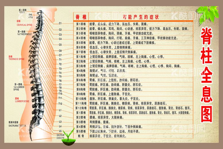 编号：92835409120216072307【酷图网】源文件下载-脊柱全息图海报推拿调理折页