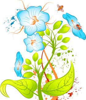 鲜花装饰