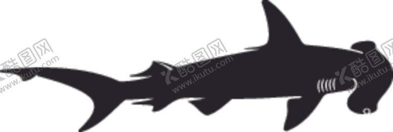 编号：28697909240515441433【酷图网】源文件下载-海洋生物系列双髻鲨