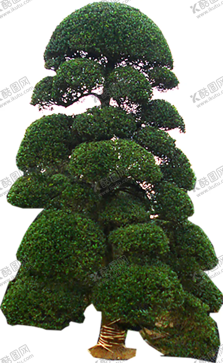 编号：52276207020405315380【酷图网】源文件下载-绿色植物