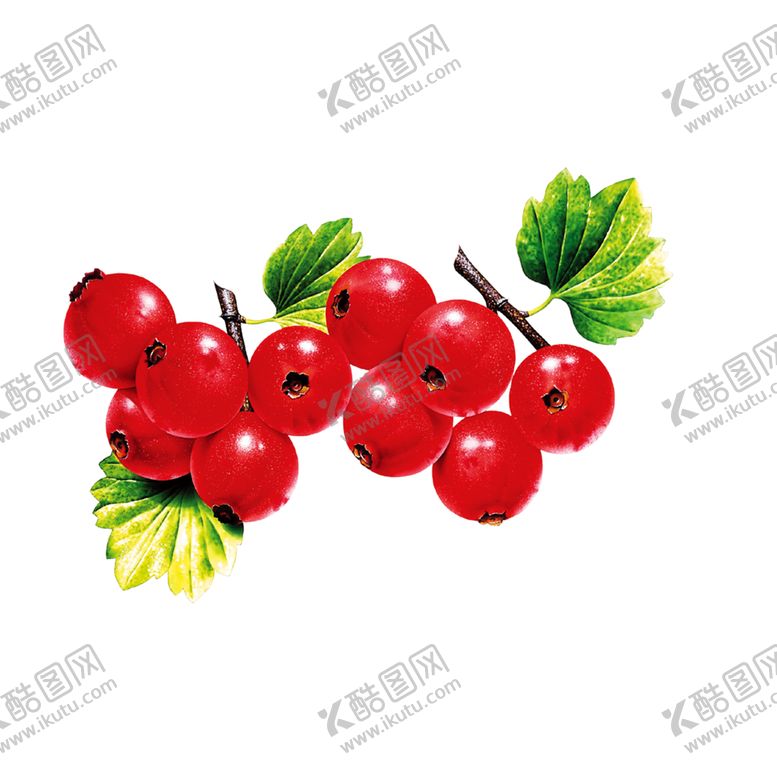 编号：34544509220640367336【酷图网】源文件下载-水果