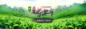 小清新风淘宝京东茶叶海报
