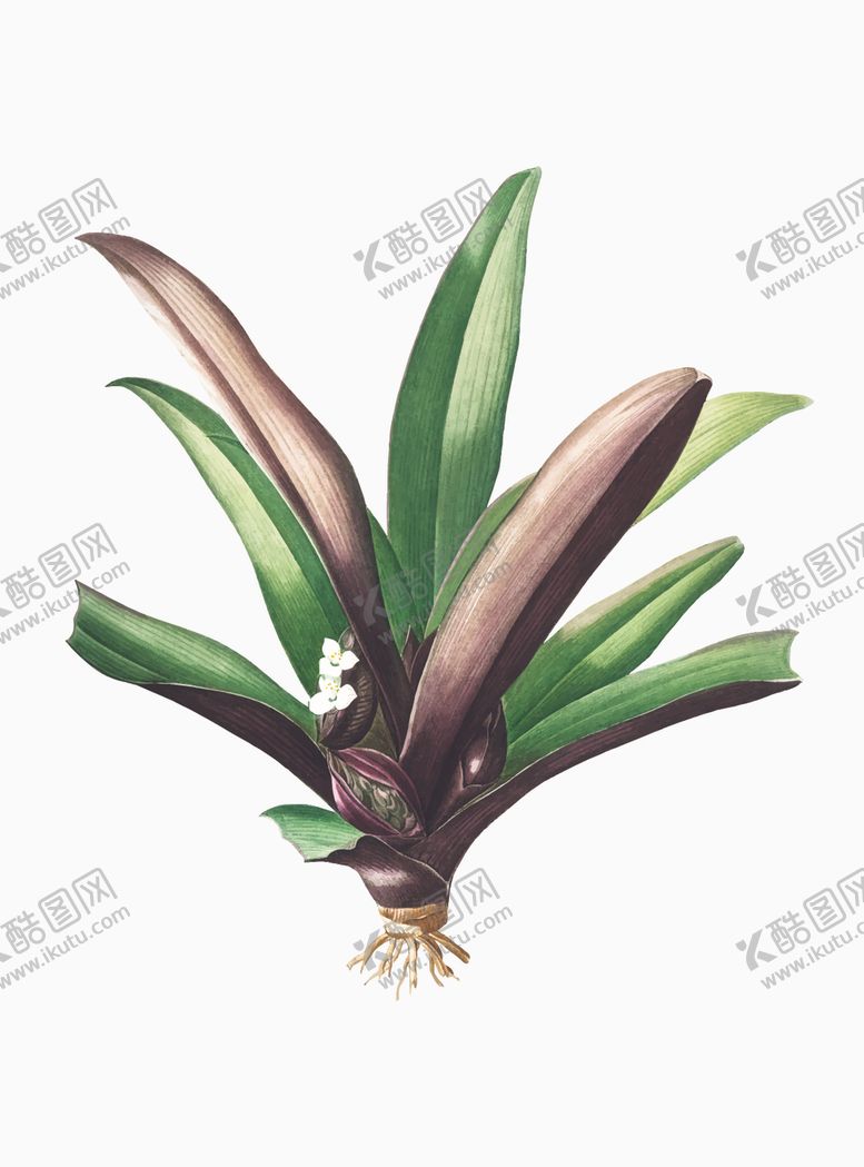 编号：66079406301147119725【酷图网】源文件下载-叶子