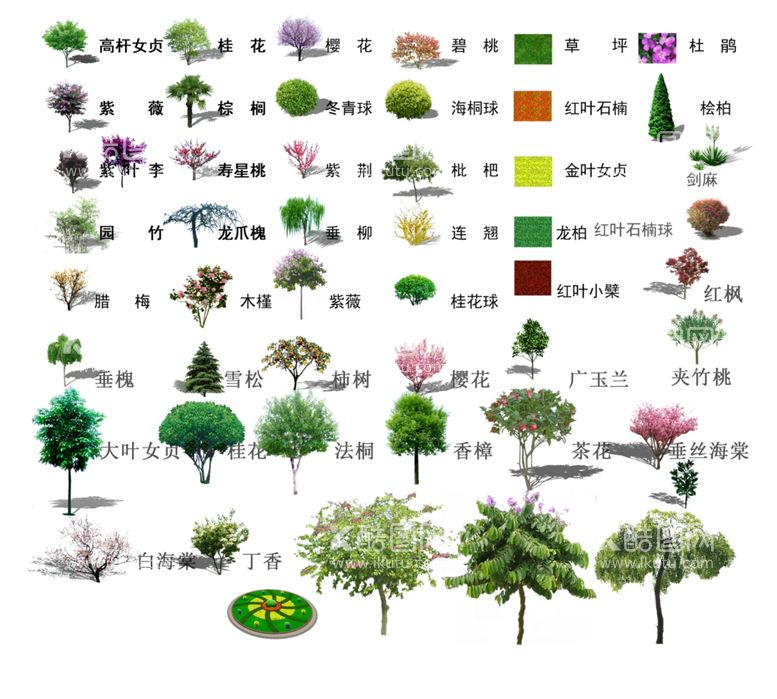 编号：90414011292104529276【酷图网】源文件下载-植物景观