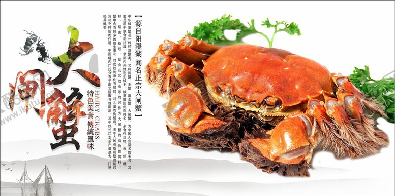 编号：70747909281005216103【酷图网】源文件下载-大闸蟹美食海报