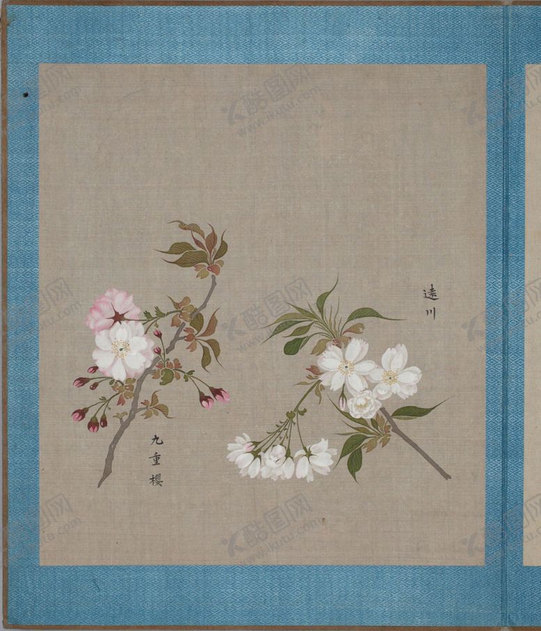 编号：85203603290726036908【酷图网】源文件下载-樱花