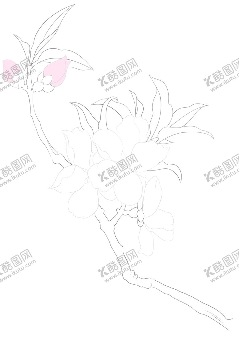 编号：49446610081222404798【酷图网】源文件下载-线稿桃花