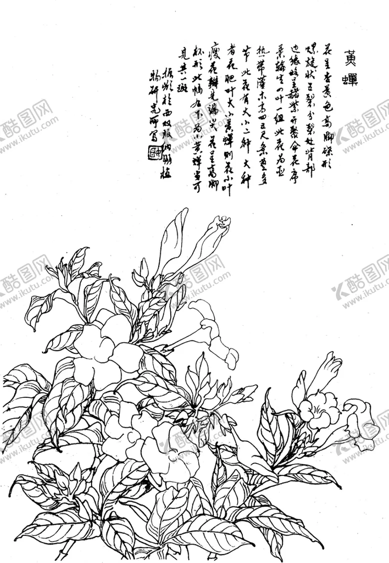 编号：03156410111154535236【酷图网】源文件下载-黄蝉