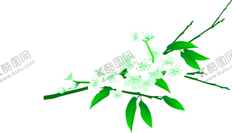 编号：79543707040244529140【酷图网】源文件下载-花素材
