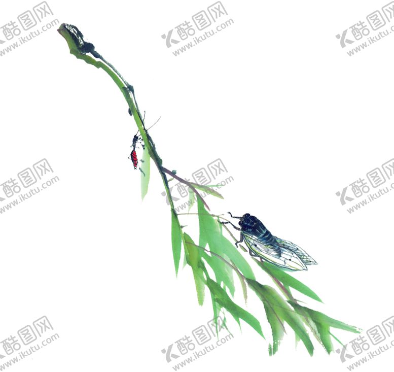 编号：49457907130317248774【酷图网】源文件下载-垂柳枝
