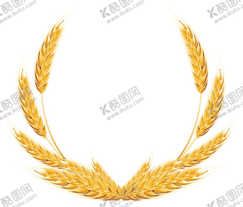 编号：91840409201840481539【酷图网】源文件下载-透明小麦png素材