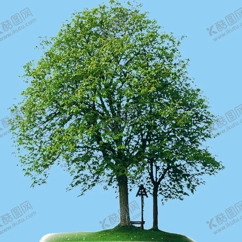 编号：57032706170007339537【酷图网】源文件下载-绿色植物背景树木