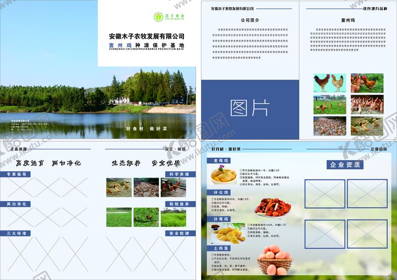 编号：75294901132351464053【酷图网】源文件下载-禽类养殖场画册模板