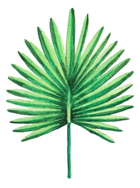 夏日水彩植物装饰图案