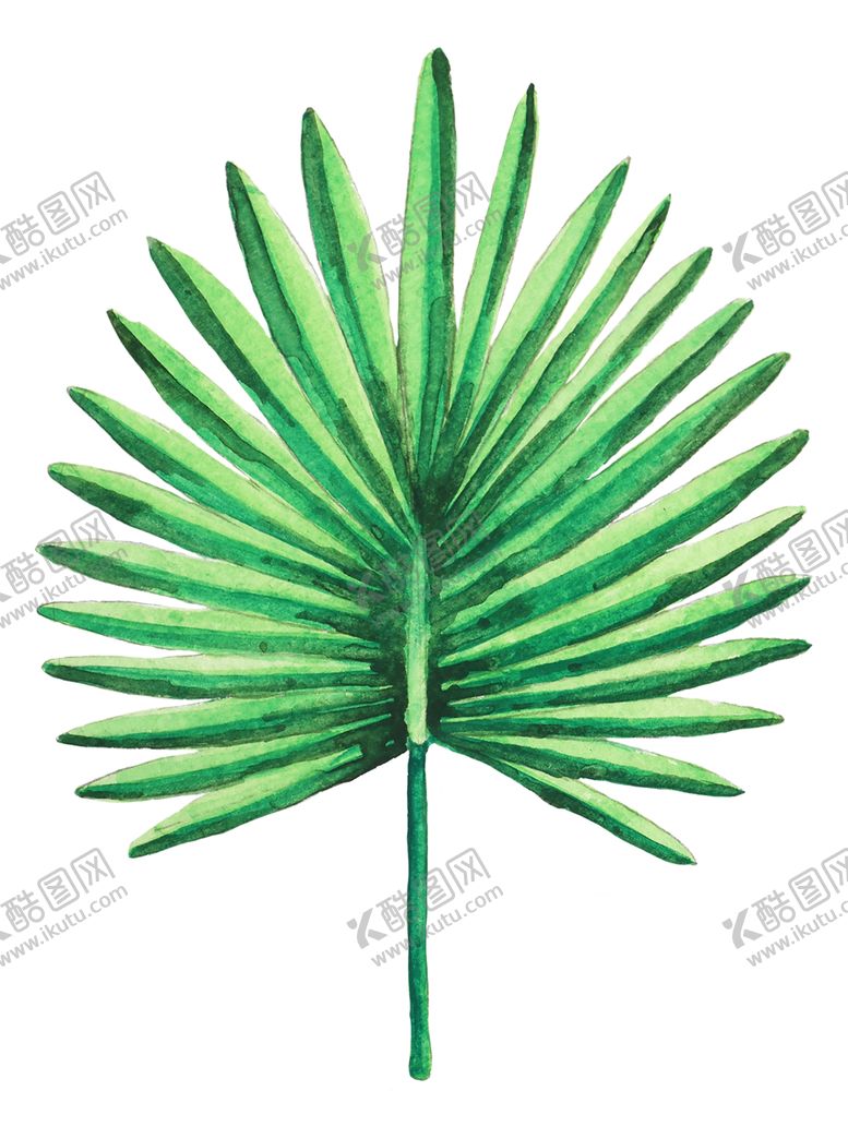 编号：37541010240918218683【酷图网】源文件下载-夏日水彩植物装饰图案