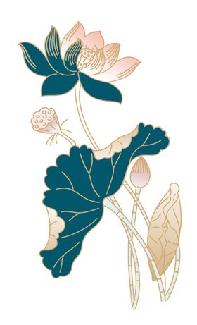 荷花