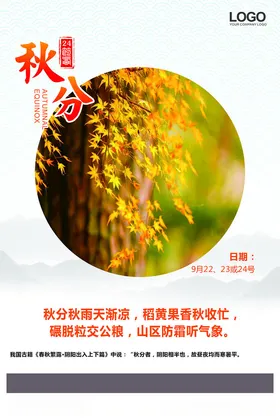 秋分24节气二十四节气系列传统节气