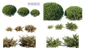 园林植物素材