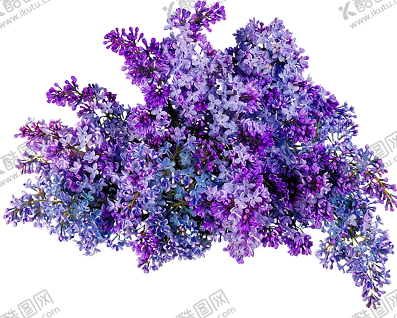 编号：44290005040856547929【酷图网】源文件下载-鲜花素材