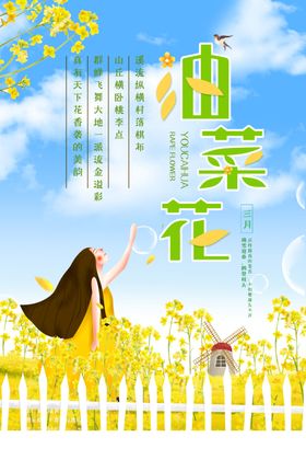油菜花