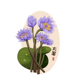 莲花水漆名片