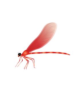 蜻蜓
