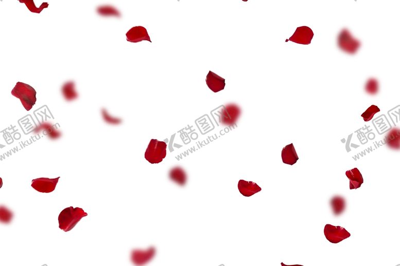编号：85352510301721172793【酷图网】源文件下载-玫瑰花 