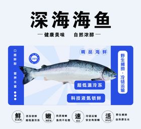 深海三文鱼海报