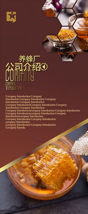 公司介绍
