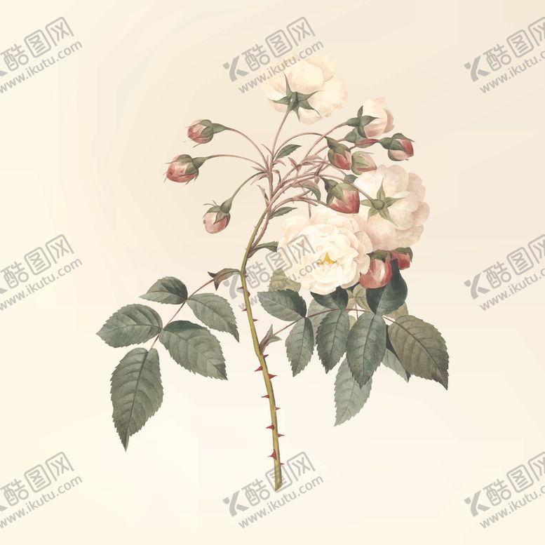 编号：70048910250601207373【酷图网】源文件下载-花纹