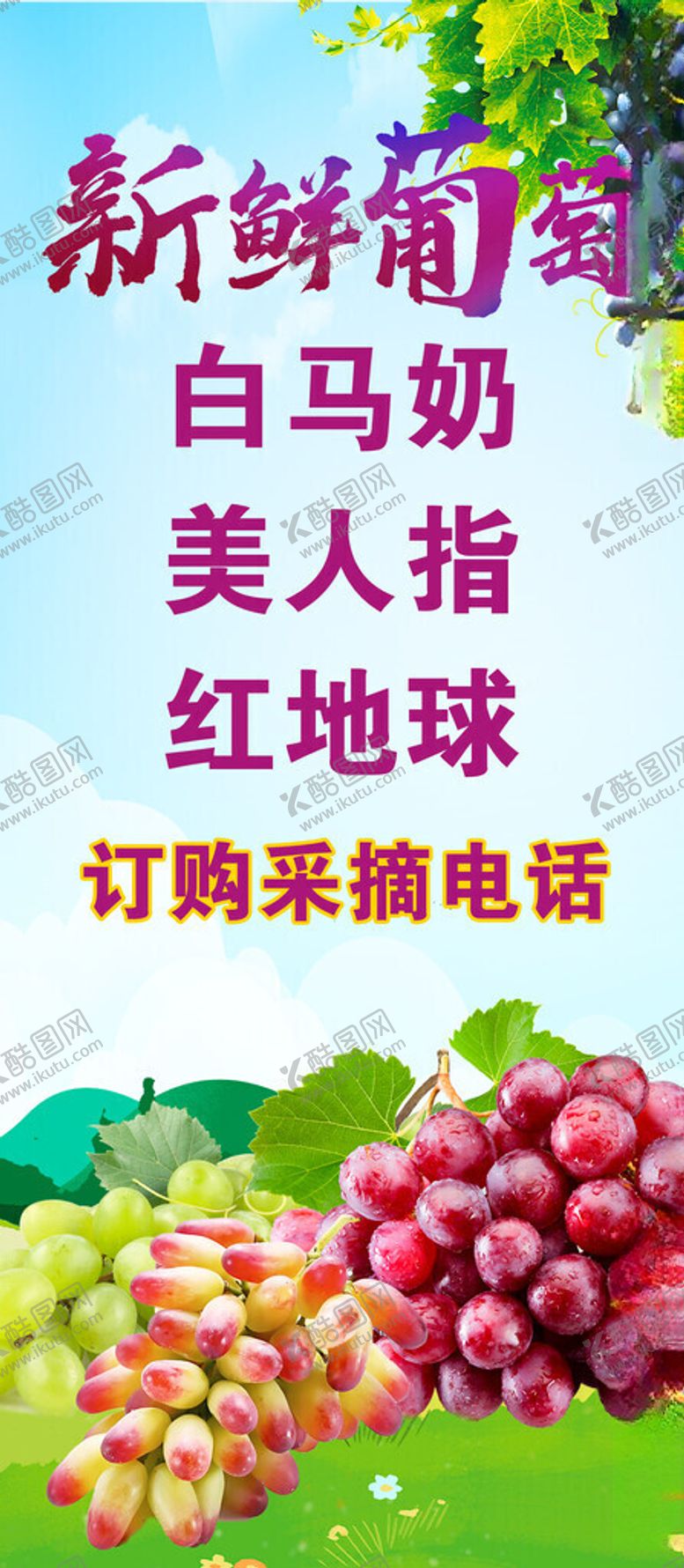 编号：93128302210903332198【酷图网】源文件下载-葡萄
