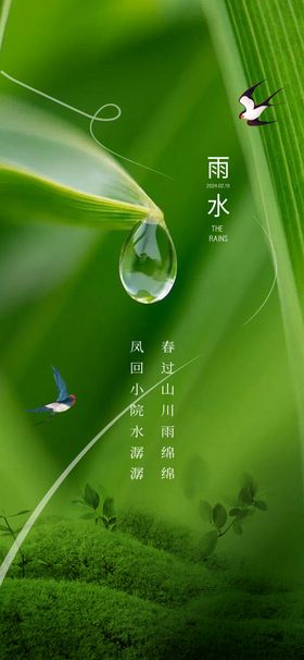 雨水二十四节气海报