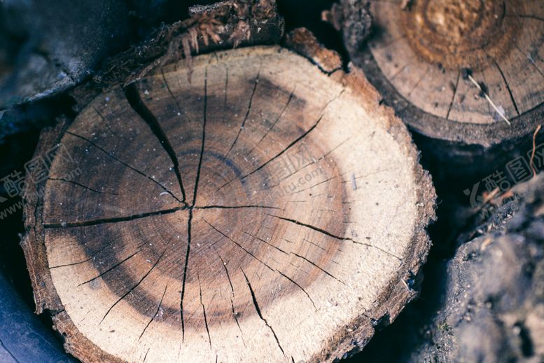 编号：84281010041255342536【酷图网】源文件下载-木头