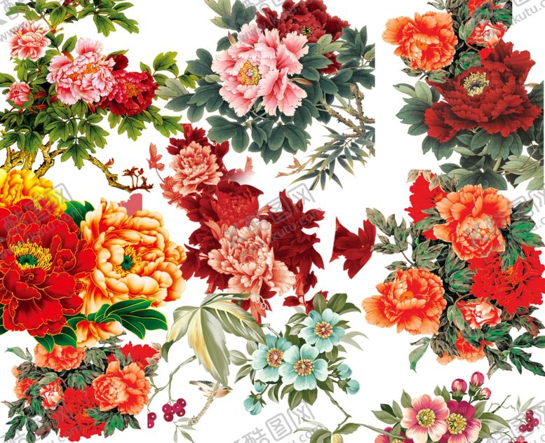 编号：12802410221252149745【酷图网】源文件下载-中国花