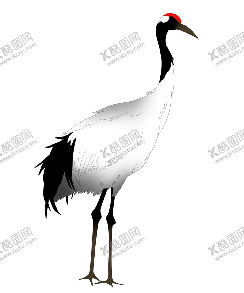 编号：25646105021252553533【酷图网】源文件下载-水墨仙鹤