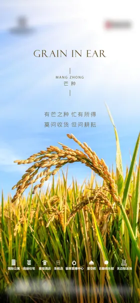 芒种海报