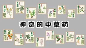 神奇的中草药