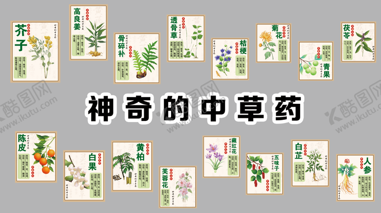 编号：52189001031126286818【酷图网】源文件下载-神奇的中草药