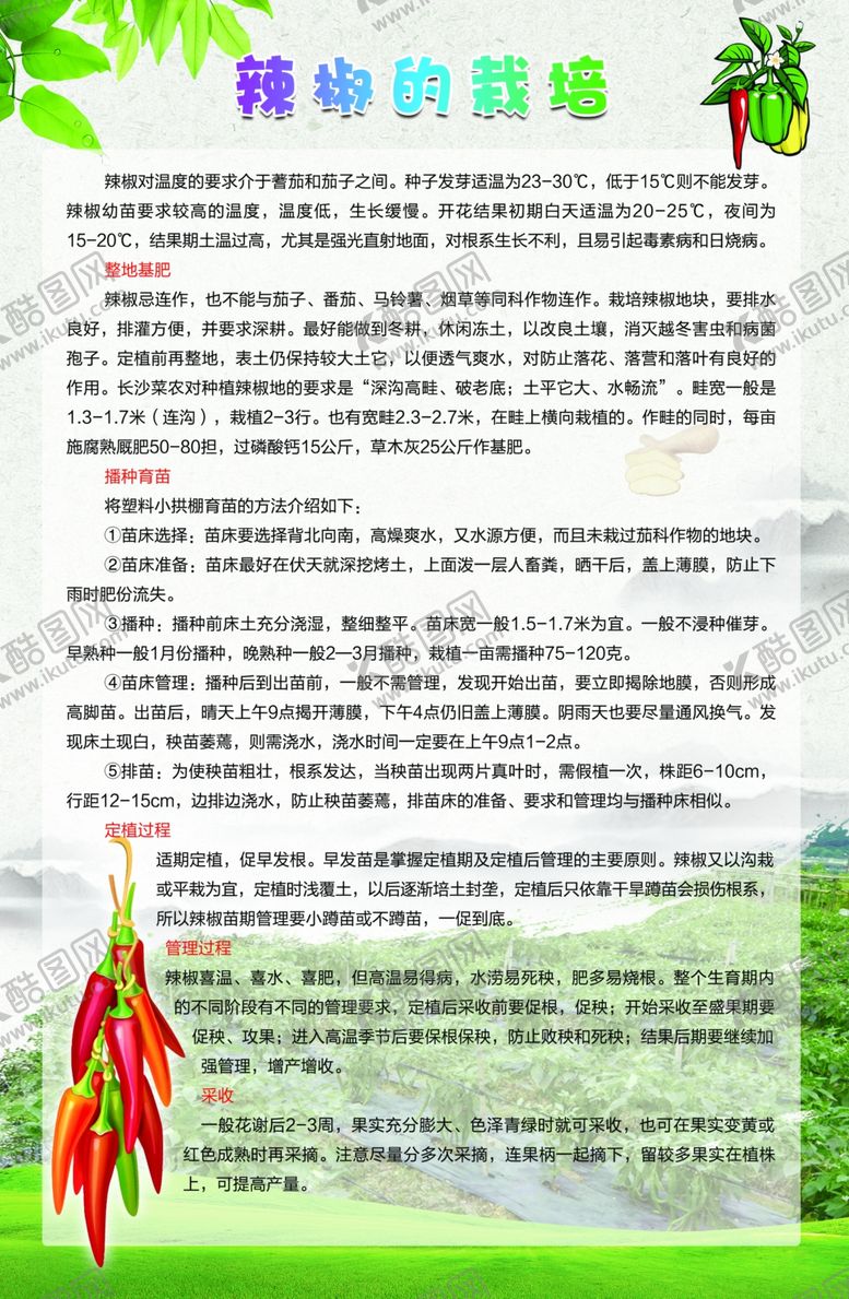 编号：54770209140548204916【酷图网】源文件下载-辣椒的栽培